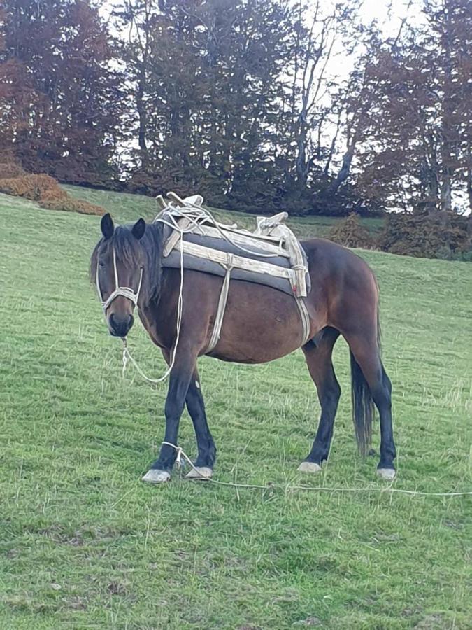 Konak Mara- Komovi Andrijevica Buitenkant foto